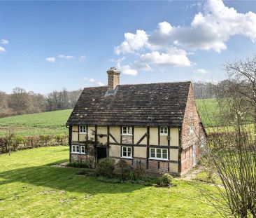 3 bedroom detached house to rent - Photo 6