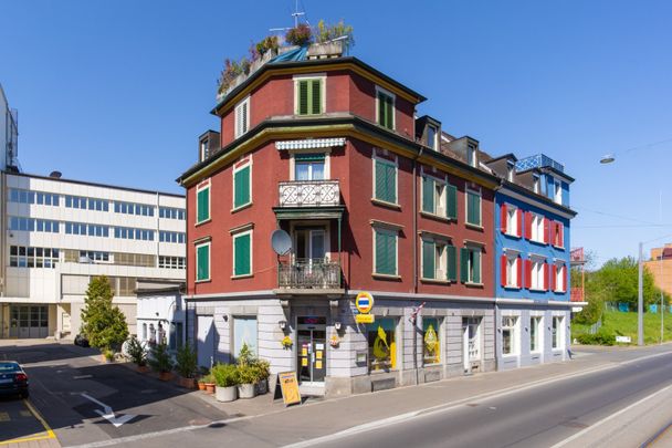 Rent a 4 rooms apartment in Schlieren - Foto 1