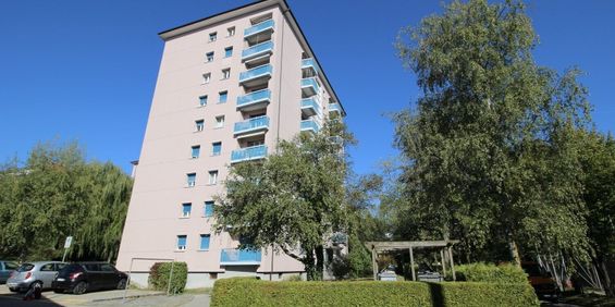 CHARMANT LOGEMENT TRES BIEN SITUE ET ENTIEREMENT RENOVE - Foto 3