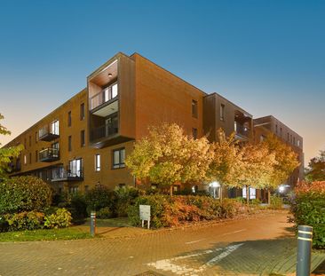 Apartment To Let - Photo 1