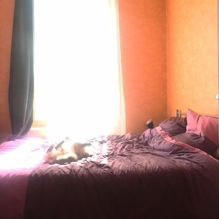 Location Appartement 3 pièces 51m² ROUEN 76000 - Photo 3