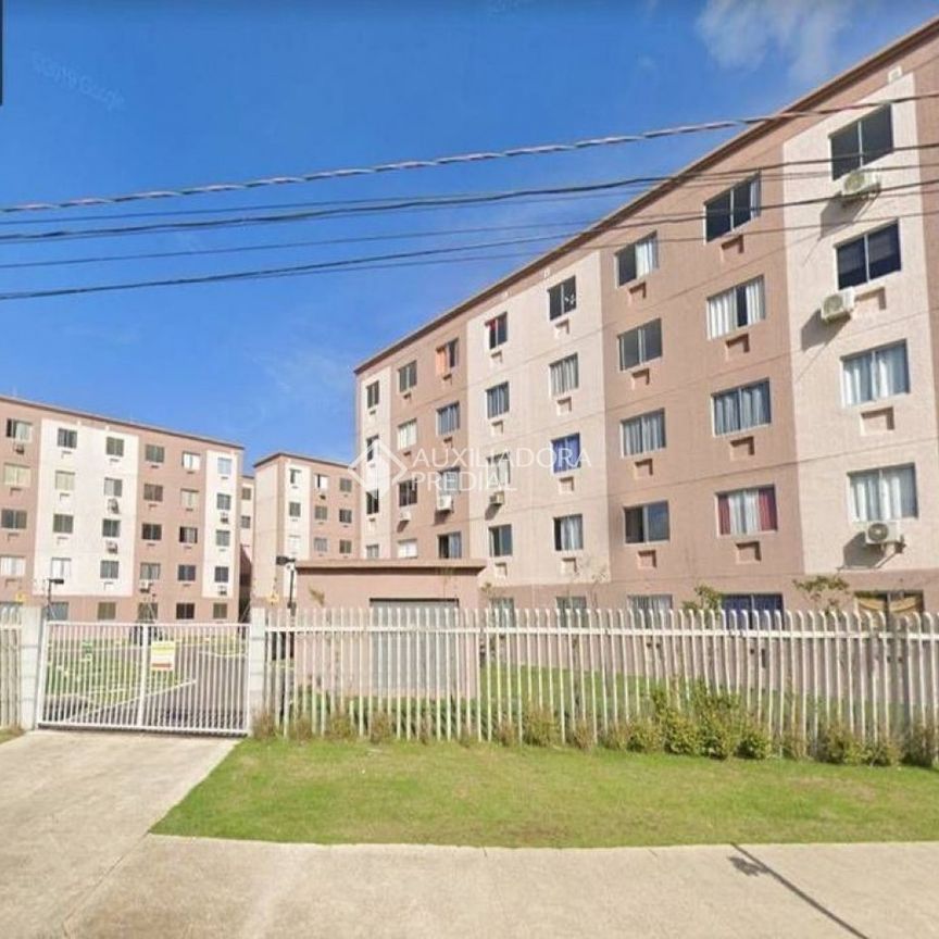 Apartamento com 2 quartos e 50m² para alugar em Hípica, Porto Alegre. - Foto 1
