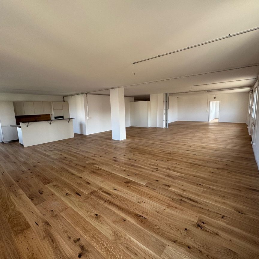 4.5 Zimmer, 206 m², 1. Stock - Photo 1