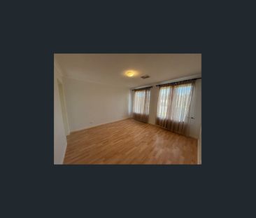 Freshly painted 4x2 with Gardens and lawn mowing included. - Photo 1