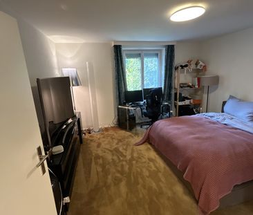 2.5 Zimmer, 54 m², 1. Stock - Photo 4