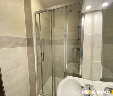 Location Appartement 4 pièces 66m² SALLANCHES 74700 - Photo 5