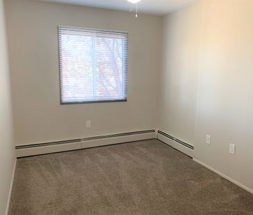 Modern 1 Bed Apartment – Pet Friendly & Steps from RDP! - Photo 5