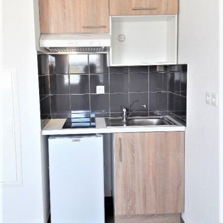 Location Appartement 1 pièce 19m² PAU 64000 - Photo 1