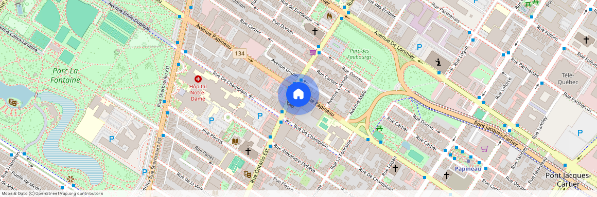 1696 Rue Ontario E., app.202, H2L 1S7, H2L 1S7, Montréal
