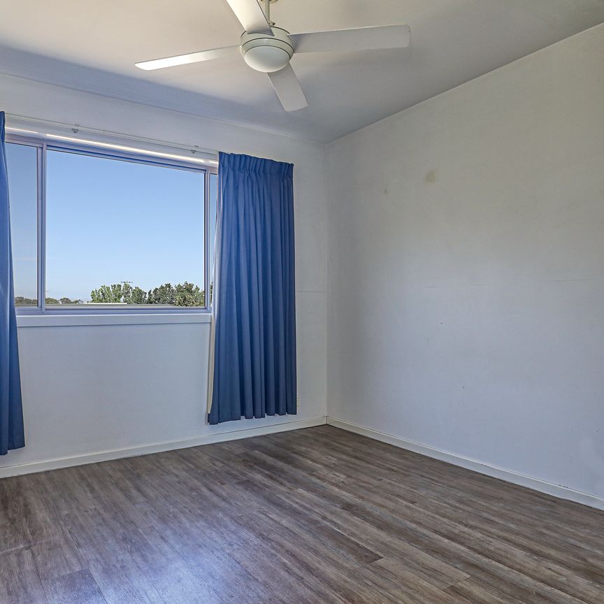 182/395 Antil Street, Watson ACT 2602 - Apartment For Rent | Domain - Photo 1