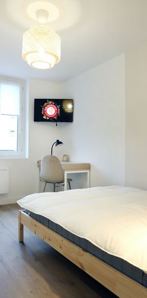 PIERRE LOTI Roommate 3 Bedrooms at Brest - Photo 1