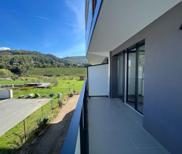 Location Appartement 1 pièce 34m² EYBENS 38320 - Photo 6