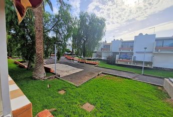 1 Bedroom - Apartment for Rent in Costa del Silencio, Primavera