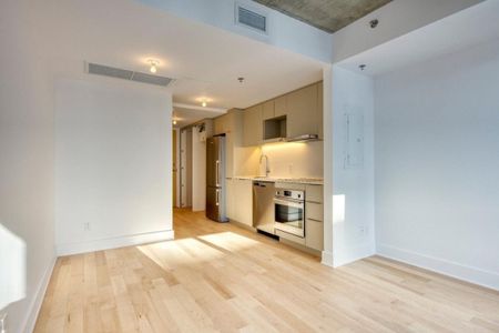 Appartement à louer - Montréal (Le Sud-Ouest) (Griffintown) - Photo 5