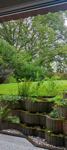 frisch renovierte Wohnung, ruhig gelegen, Zentrumnah - Photo 3