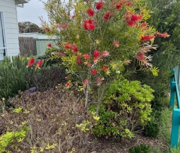 18A Gardiner St, Goolwa SA 5214 - House For Rent | Domain - Photo 1