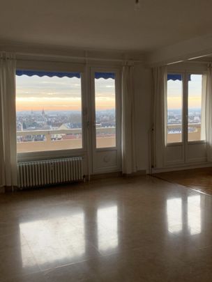 T3 avec une seule chambre 29 rempart st pierre - Photo 1