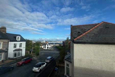 MAUGHAN TERRACE, PENARTH - Photo 4