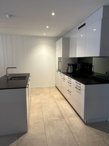 Locataire subséquent par 1.4. pour 3,5 Jour. appartement neuf à 5736 Burg-Menziken,AG - Photo 4