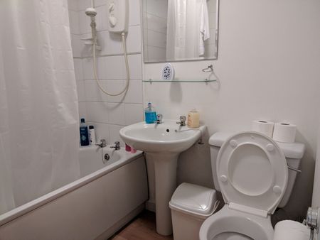 1 Bed Flat, St. Peters Path, G4 - Photo 2
