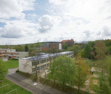 gemütliche 3-Raum-Wohnung mit modernsanierten Bad - Photo 4