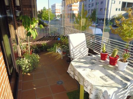 4 room luxury Apartment for rent in San Sebastián de los Reyes, Spain - Photo 5