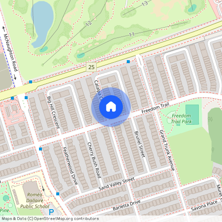 118 Catalpa Crescent Unit# bsmnt, Vaughan