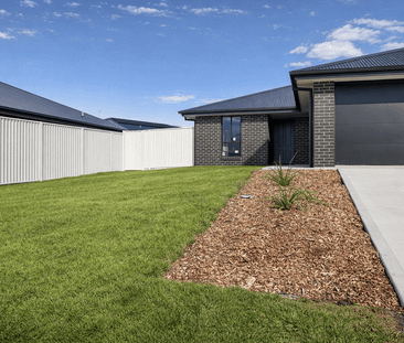 2 Bedroom Hillvue Unit - Photo 4