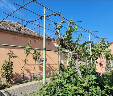 Casa de inchiriat pe calea Radnei - strada principala - Fotografie 1