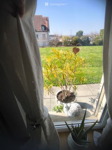 13 m² - Photo 2