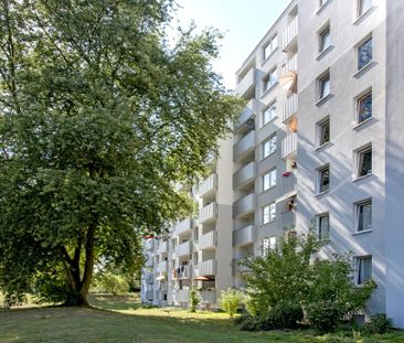 3-Zimmer-Wohnung in Neuss Erfttal - Photo 1