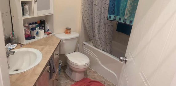 Colocataire recherché - Photo 2