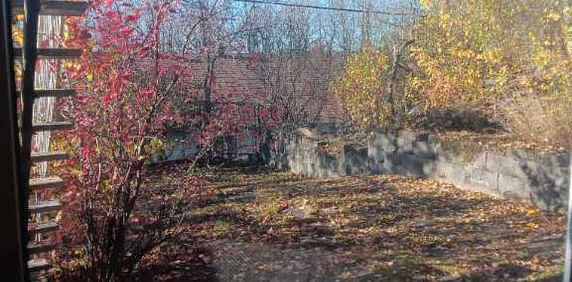 Chambre 1 1/2 acceptant 1 chat - Photo 2