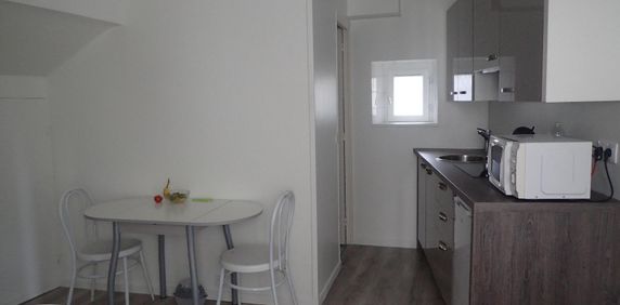 Location Appartement 1 pièce 15m² LAVAL 53000 - Photo 2