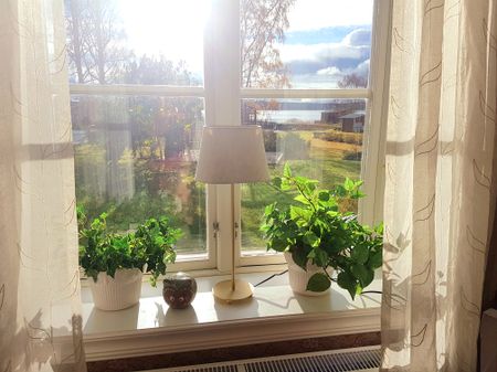 Gräsmalnsvägen, Hudiksvall - Photo 2