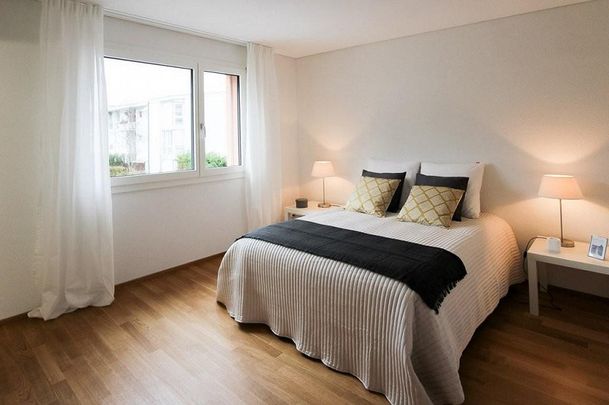 Traumhafte 4.5-Zimmerwohnung in Gelterkinden zu vermieten - Photo 1