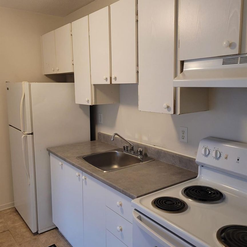 14 Rue D'Orléans (Gatineau) Beau 3 1/2 Près De Tout! - Photo 1