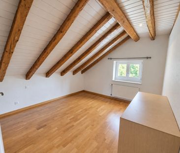 BEAUTIFUL CHARMING 4-ROOM APARTMENT WITH A VIEW OF THE SALÈVE - Photo 4