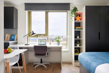 Accessible Bronze Studio - Single Occupancy - Photo 2