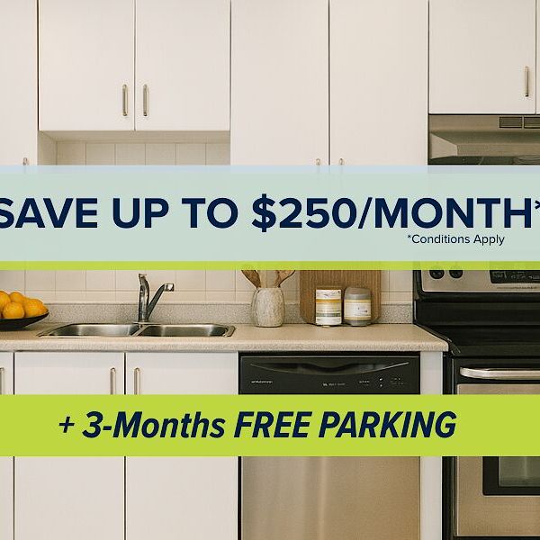 260 1/2 Dalhousie Street, Byward Market, Ottawa, ON - Photo 1