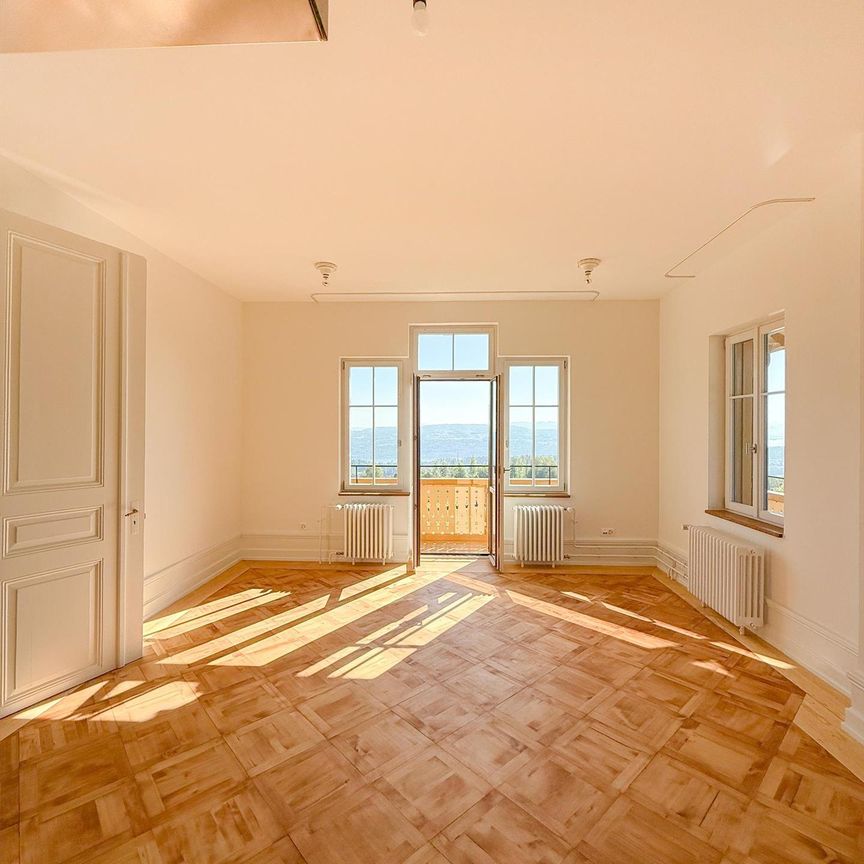 2.5 Zi-Wohnung mit atemberaubender Weitsicht - Photo 1