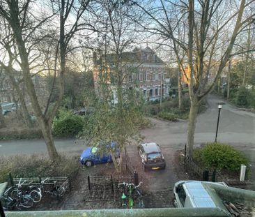 9, Zuiderpark, Oosterpoort, Zuid, Groningen, Nederland, 9724 AE, Ne... - Foto 3