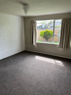 Sunny private unit close to city - Photo 1