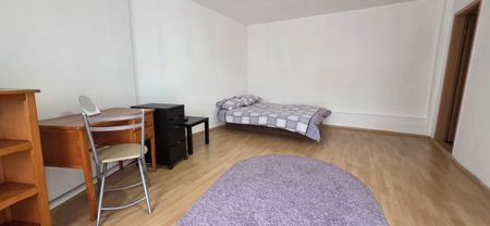 Little house for rent in Cluj-Napoca, central area, Sindicatelor Street, located 5 minutes walk from the University of Medicine and Pharmacy, with 2 bedrooms, living room and two bathrooms - Fotografie 3