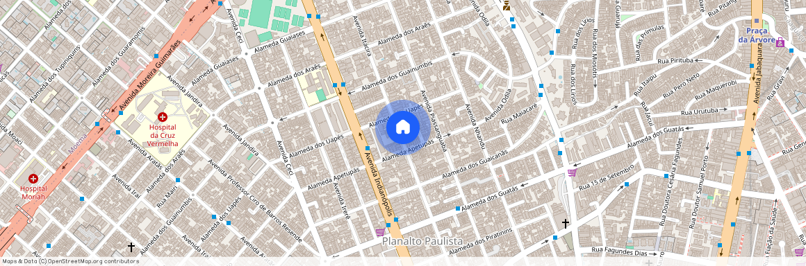 Avenida Itacira, 1329, Planalto Paulista, São Paulo, São Paulo, 04061001