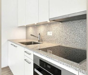 Reprise de bail d'un appartement 32.9 m2 - Photo 4