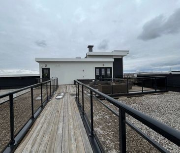 For Lease - 620 Sauve Street Unit# 411, Milton, Ontario - Photo 1