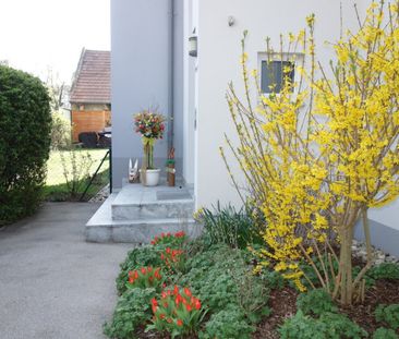 Hell und freundlich - gemütlich und familiär, perfekt für 1 bis 2 P... - Foto 5
