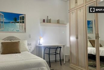 cadiz, Andalusia 11002