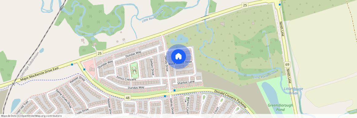 12 Black Locust Drive, Markham